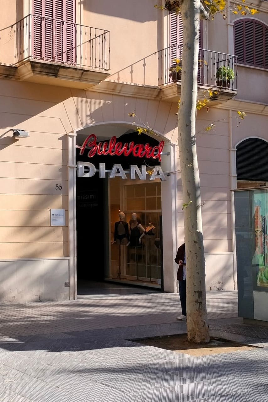 Finques Llar entrada Bulevard Diana Rambla Principal 55